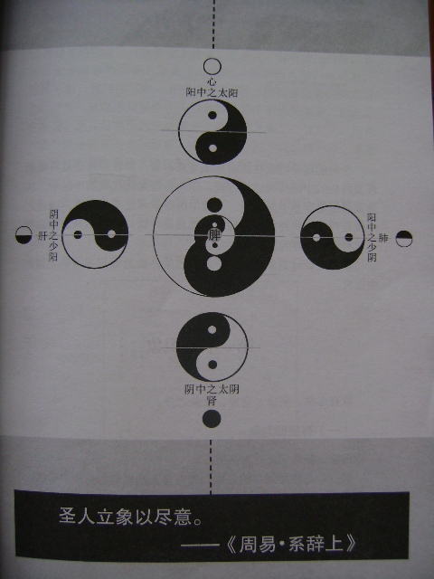 四象配五藏图.JPG