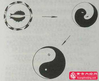 阴阳鱼太极形成图_看图王.jpg